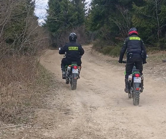 Działania „MAJÓWKA-26” w Gorcach przynoszą efekty